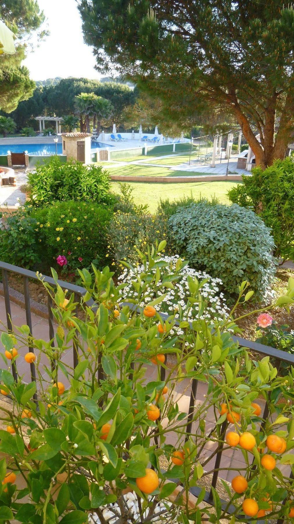 Hotel La Romarine Ramatuelle Εξωτερικό φωτογραφία